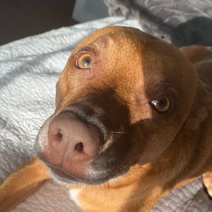 Meet your Posher, Jake